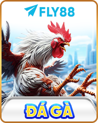 FLY88 ⚜️ Trang Chủ FLY88.COM 2026 Link Nhận Mới +88K FAV3