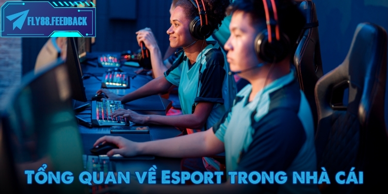 Esport - Chuyên mục cá cược thể thao điện tử dành cho người chơi hiện đại Giải đấu Esport quốc tế thu hút hàng nghìn người xem trực tiếp