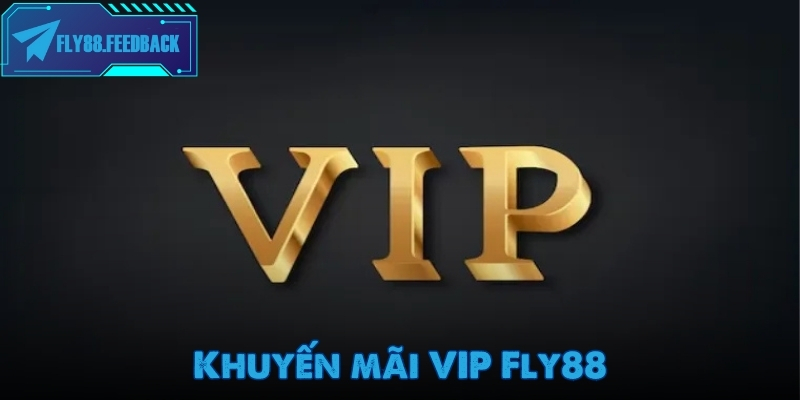 Khuyến mãi VIP dành cho hội viên lâu năm của nhà cái Fly88