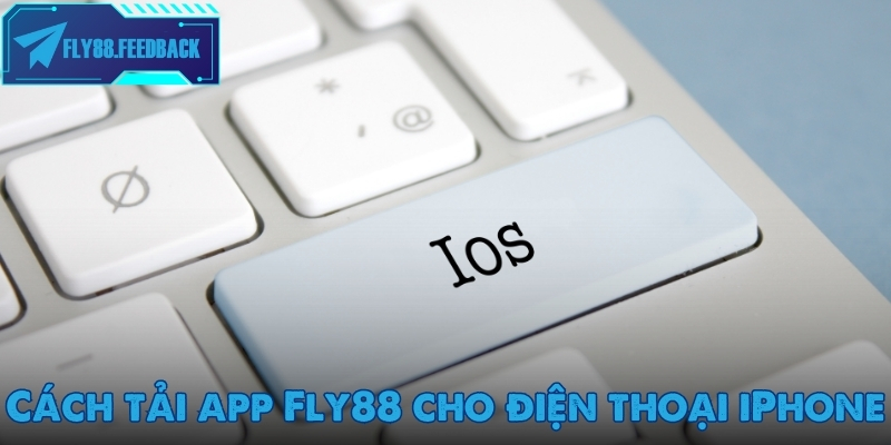 Tải app Fly88 Hướng dẫn tân binh tải app Fly88 cho điện thoại iPhone (iOS)