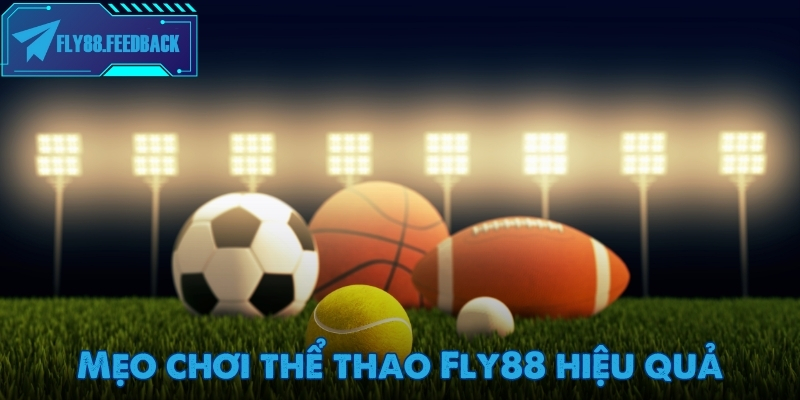 Thể thao Fly88 Mẹo chơi thể thao Fly88 hiệu quả cho tân binh cá cược