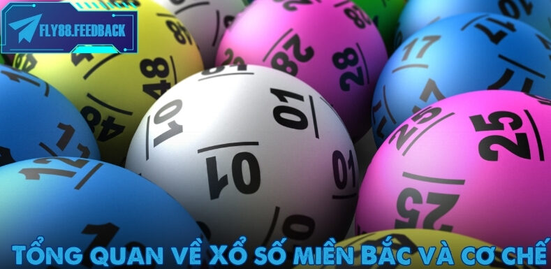 Kết quả Xổ số miền Bắc được quay số trực tiếp và công bố công khai mỗi ngày